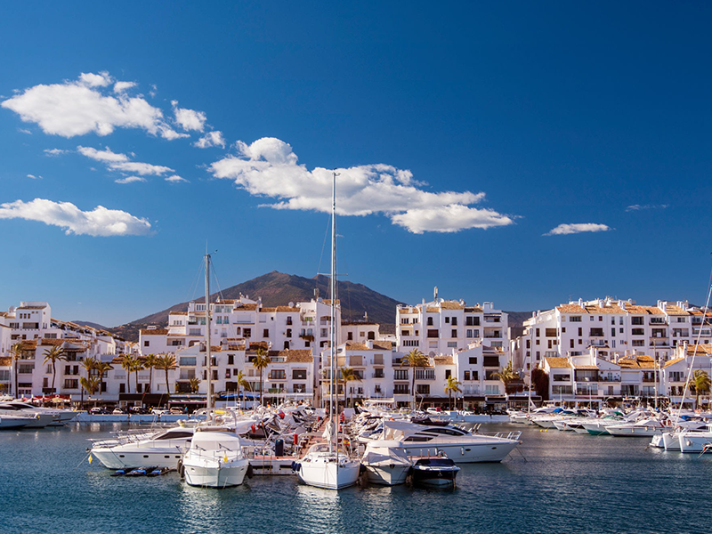 mayoristas-de-frutas-y-verduras-en-marbella