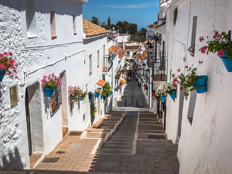 mayoristas-de-frutas-y-verduras-en-mijas