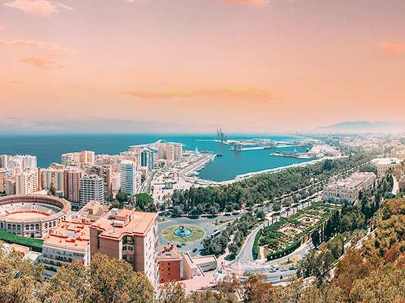 mayoristas-de-frutas-y-verduras-en-malaga