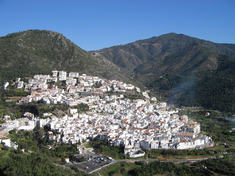 mayoristas-de-frutas-y-verduras-en-ojen