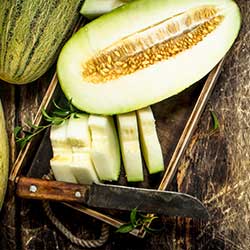 melon