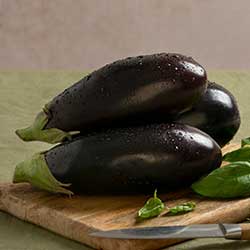 calabacin