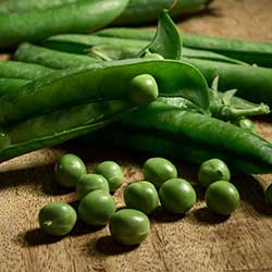 guisantes