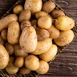 patata