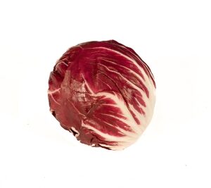 Achicoria
