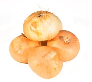 Cebolla