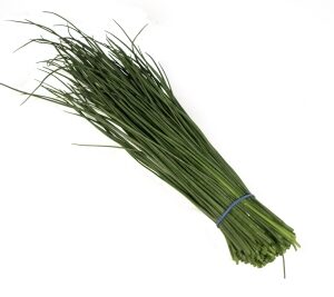Cebollino