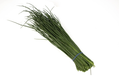 Cebollino