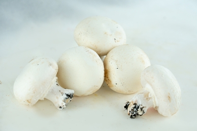Champiñón