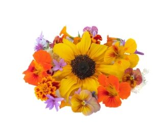 Flores comestibles