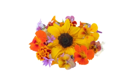 Flores comestibles