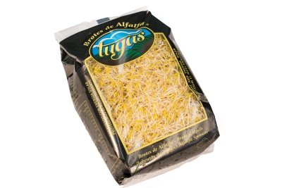 Germinado de alfalfa