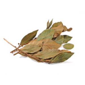 Laurel