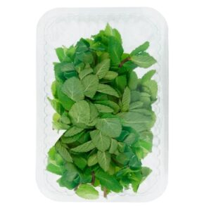 Menta