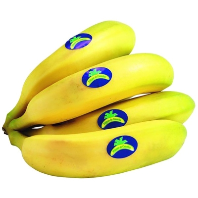 Plátano