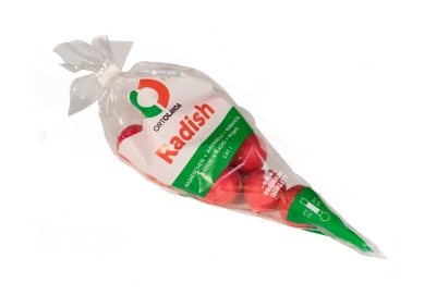 Rábano