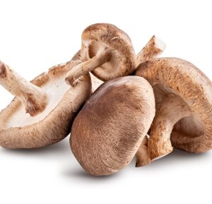 Shiitake