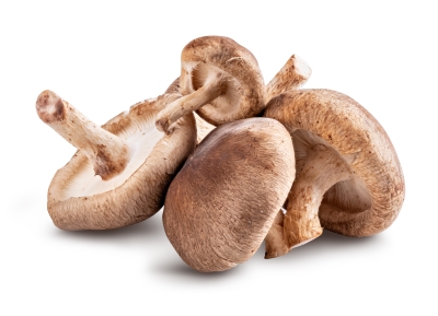Shiitake