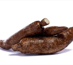 Yuca