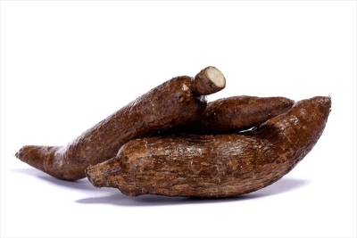 Yuca